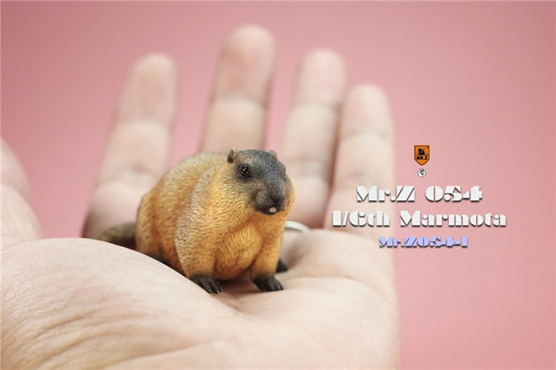 Mr.Z  MRZ054 1/6 Cavia Porcellus Marmota Model Cute Animal Statue Scene Home Decor Toy-aliexpress