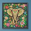 DIY Partial Special Shaped Drill Diamond Painting-Elephant