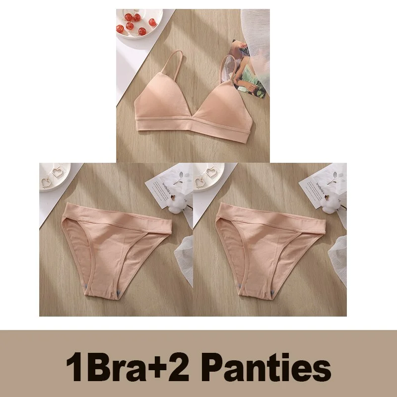 Bra Set Women's Underwear Push Up Bras Sexy Bralette Seamless Brassiere Gather Padded Female Wirefree Intimates Lingerie 2/3PCS