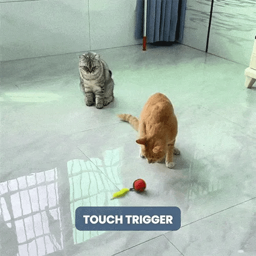 Interactive Rechargeable Cat Toy Ball