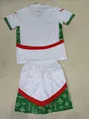 Joyfball 2025 Kids Size Morocco Away Soccer Jersey 