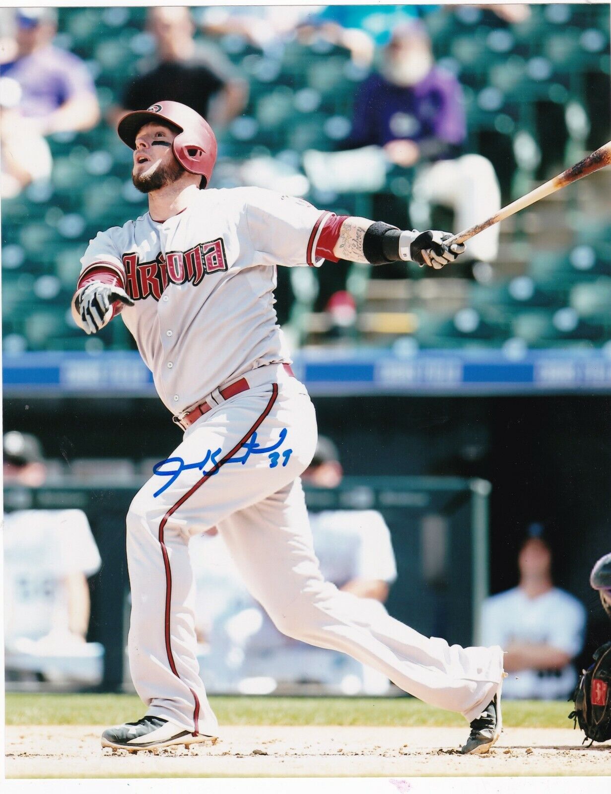 JARROD SALTALAMACCHIA ARIZONA DIAMONDBACKS ACTION SIGNED 8x10