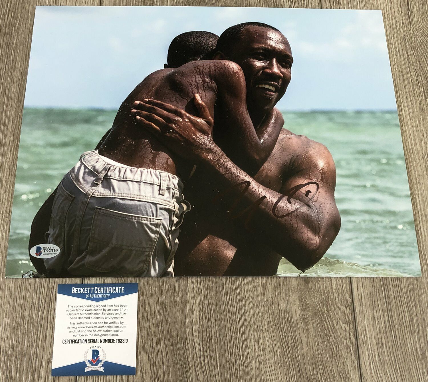 MAHERSHALA ALI SIGNED MOONLIGHT 11x14 Photo Poster painting B w/EXACT PROOF & BECKETT BAS COA