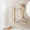 Clothes Hanger Storage Rack