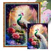 White Peacock Full Stamped Cross Stitch Kit 11CT 3-Strand 50x65cm Animal Series