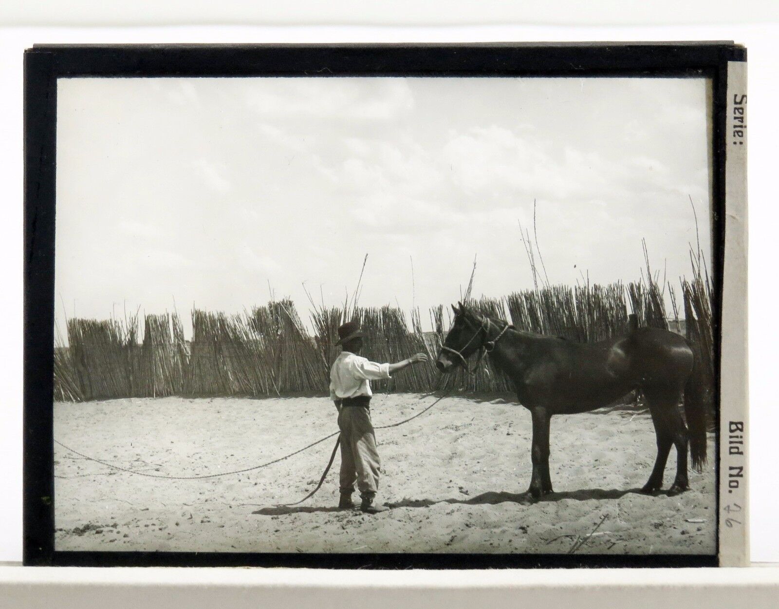 Glass Negative Slide Photo Poster painting Glas Negativ Dia Foto - Deutsche Kolonien (Lot-N-2