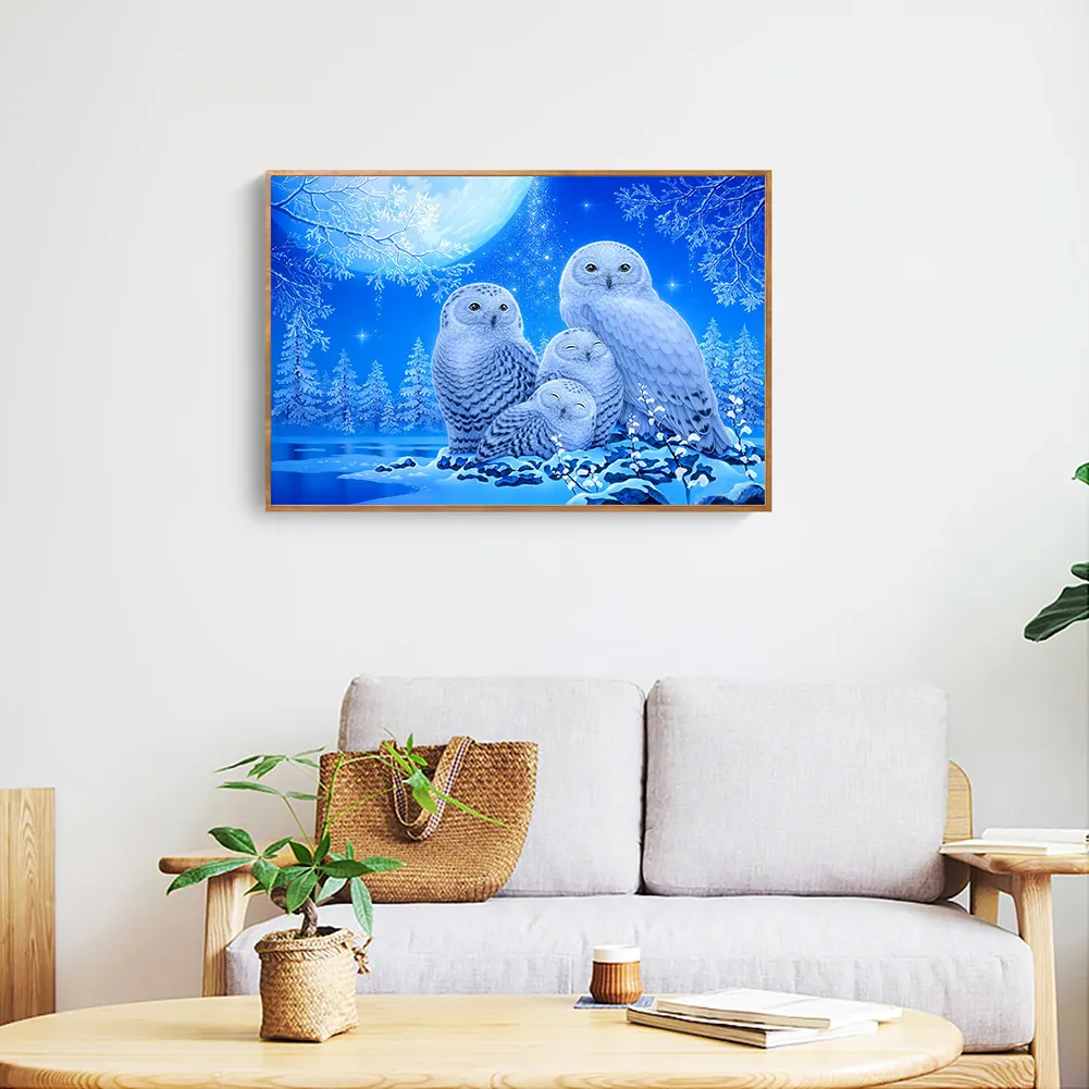 Full Round Diamond Painting 40*30cm - Owl
