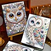2pcs Owl Partial DIY 50 Pages A5 Diamond Painting Notebook for Study Drawing