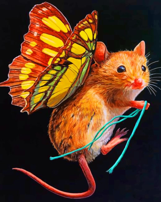

Flying Mouse – Paint By Numbers - 40*50CM, 501 Original