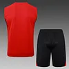 2025/2026 Arsenal Pre-Match Training Red Vest+Shorts Football1:1 Thai Quality