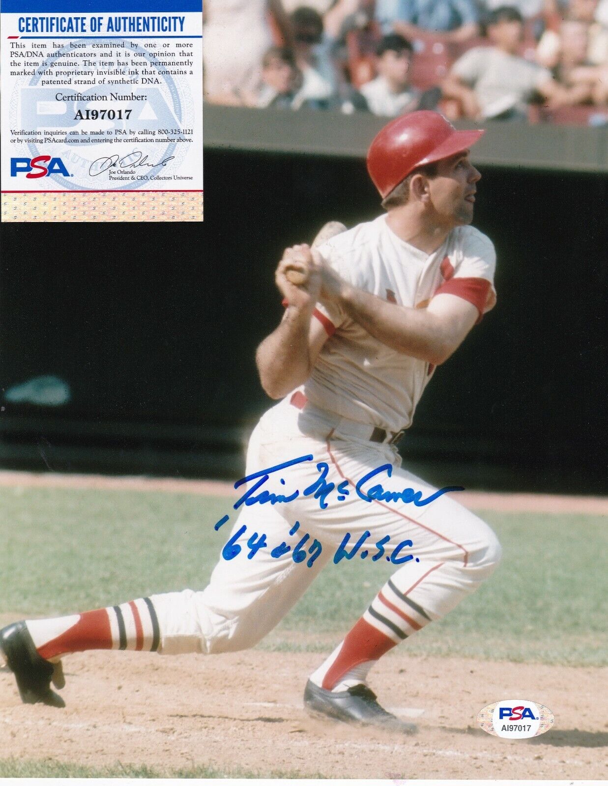 TIM MCCARVER ST. LOUIS CARDINALS 1964,67 WS CHAMPS PSA AUTHENTICATED SIGNED 8x10