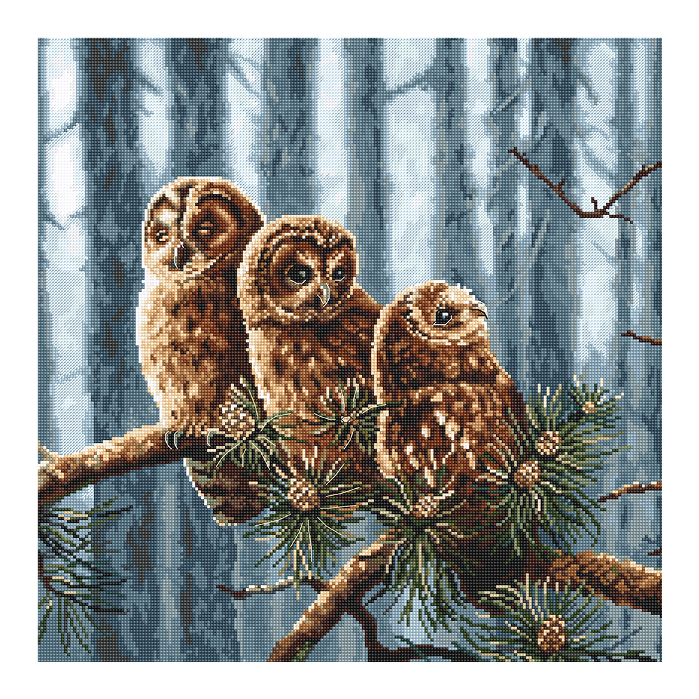 

Three Owls - 11CT Stamped Cross Stitch - 48*48CM, 501 Original