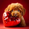 Love Dog Cat-Full Round Diamond Painting 30*30CM