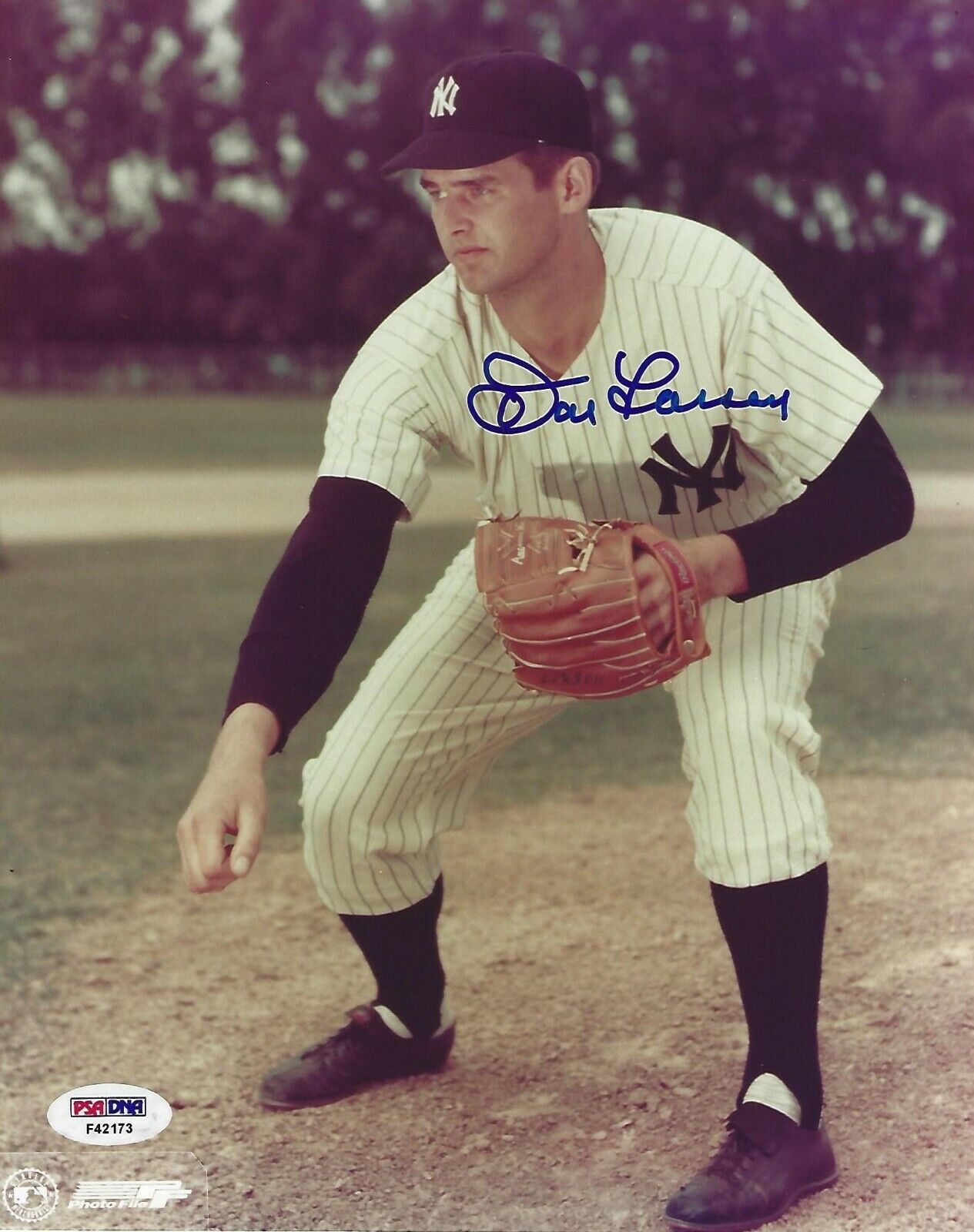 Don Larsen Signed Yankees Baseball 8x10 Photo Poster painting PSA/DNA COA Star Picture Autograph