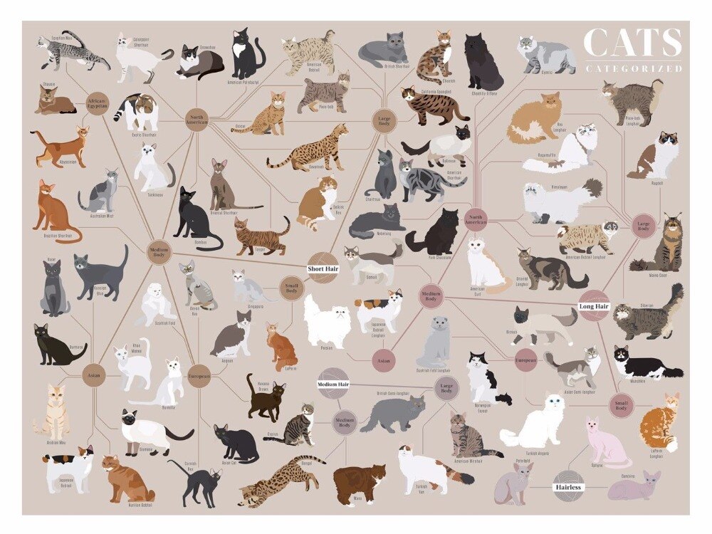 Home Decor Cats Categorized-Silk Art Poster Wall Sicker Decoration Gift