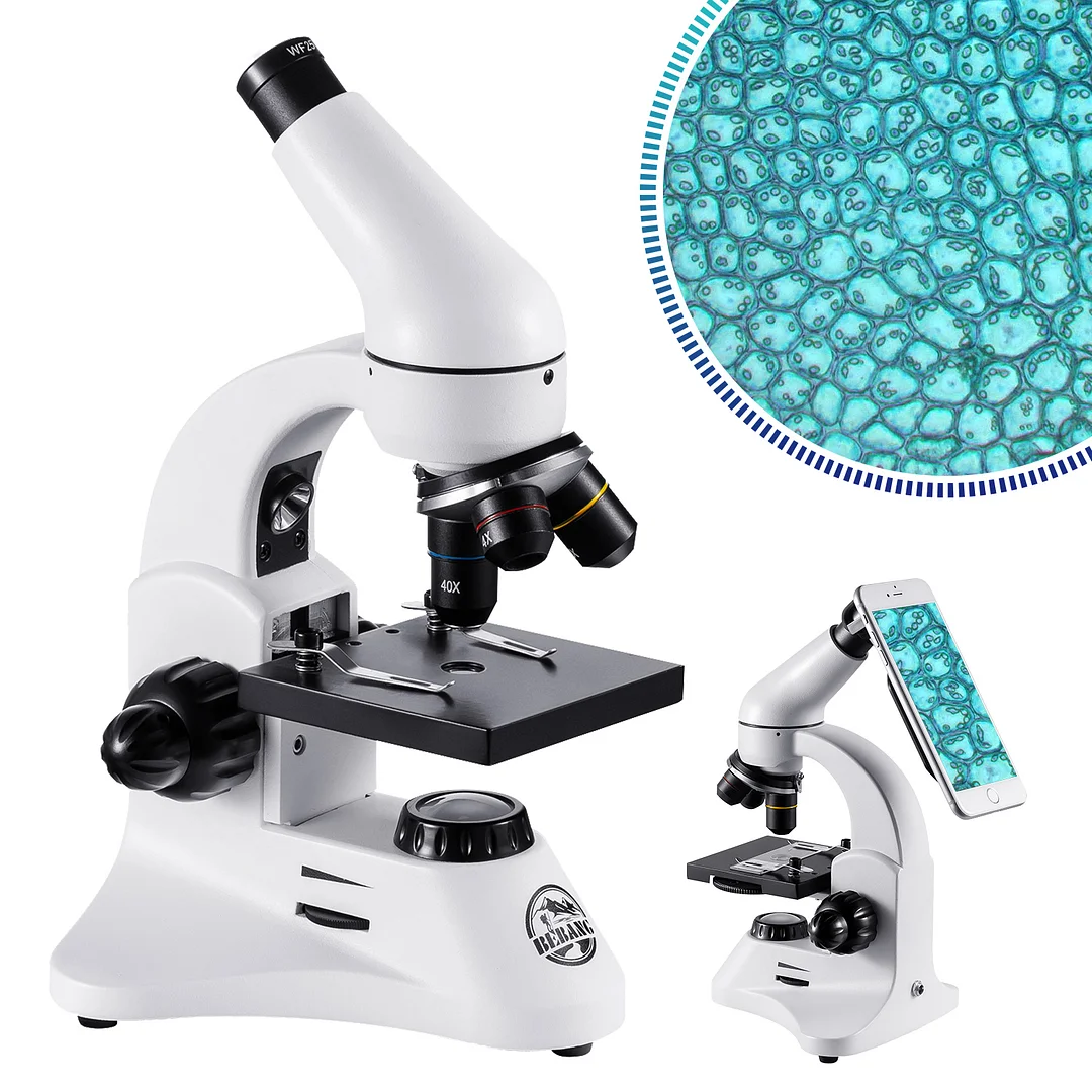 BEBANG 40X-2000X Microscopes for Kids Adults Students, with Microscope ...