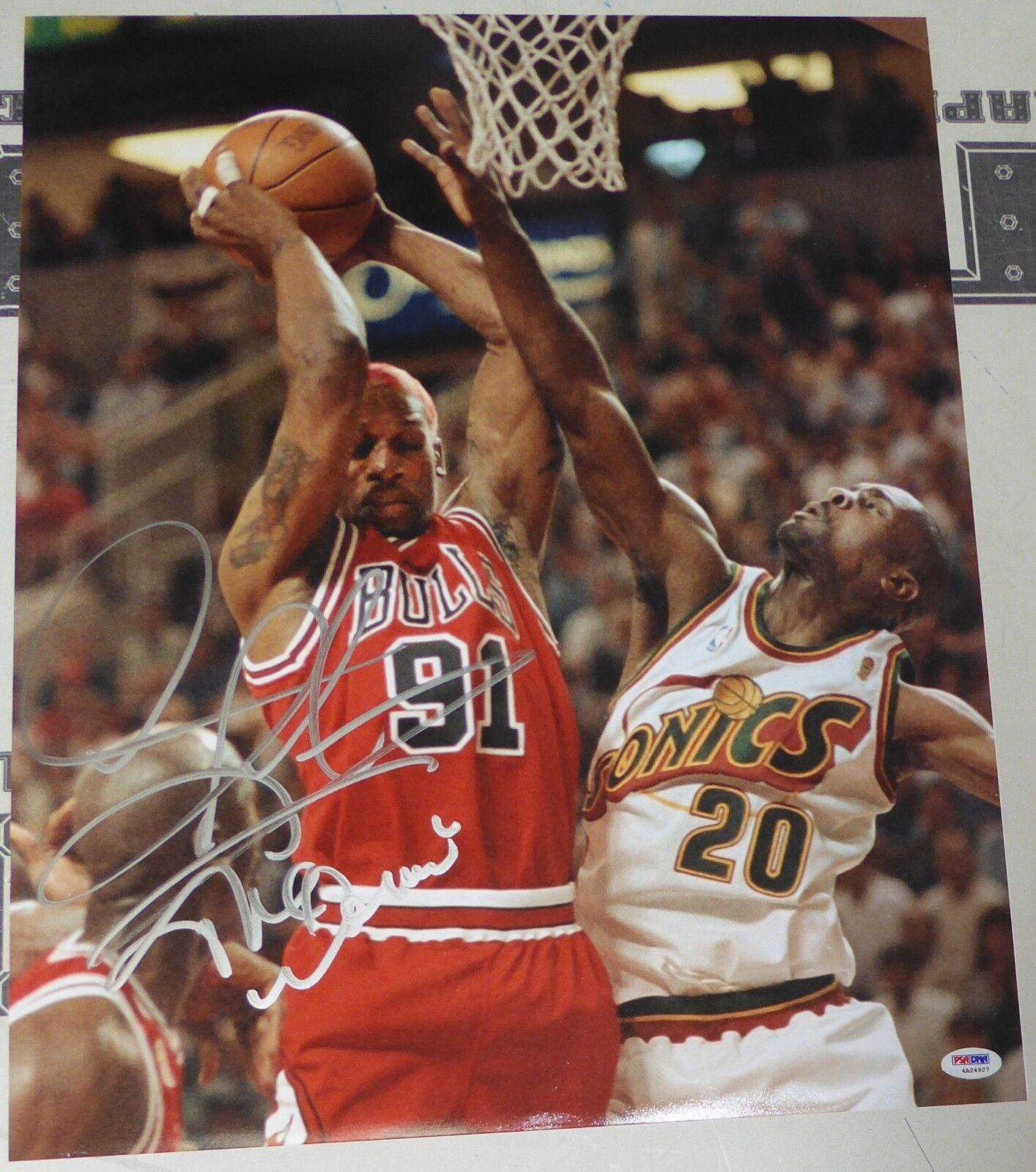 Dennis Rodman Signed Bulls Basketball 16x20 Photo Poster painting PSA/DNA COA Picture Autograph