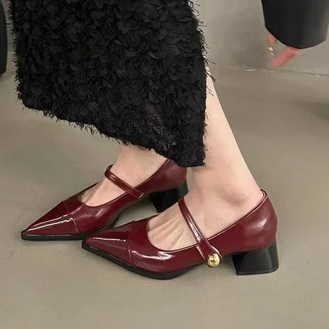 Yyvonne Small Leather Shoes Women 2025 New Spring Thick Heel Low Heel High Heels Retro French Temperament Mary Jane Single Shoes