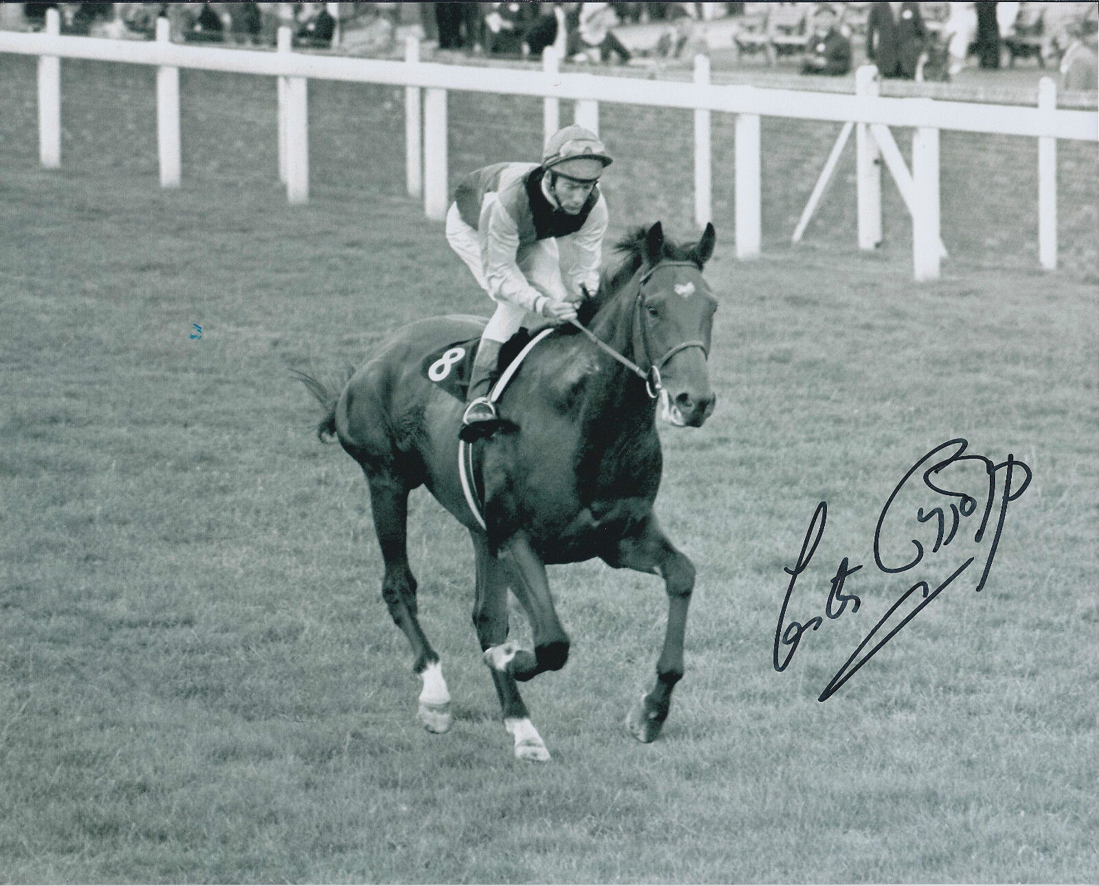 Lester PIGGOTT Signed Autograph Photo Poster painting AFTAL RD COA Jockey Horse Racing NIJINSKY