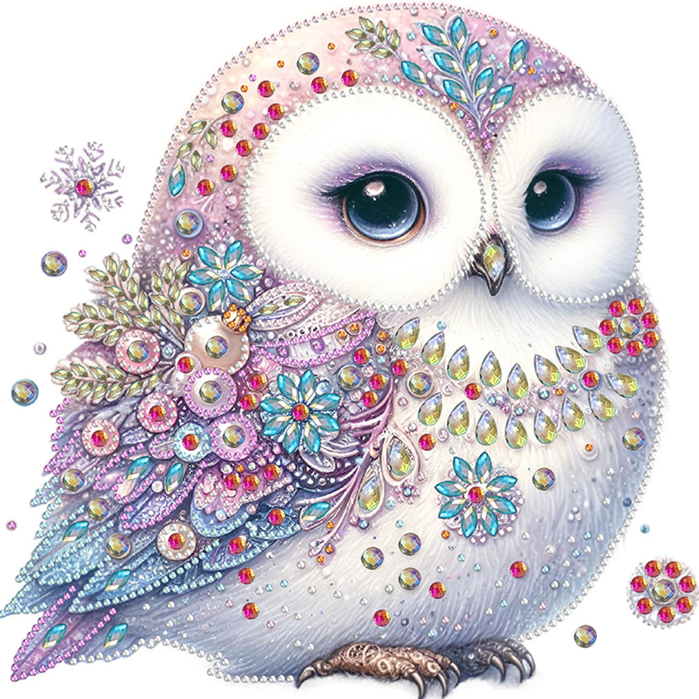 Bald Owl 30*30cm(canvas) special shaped drill diamond painting