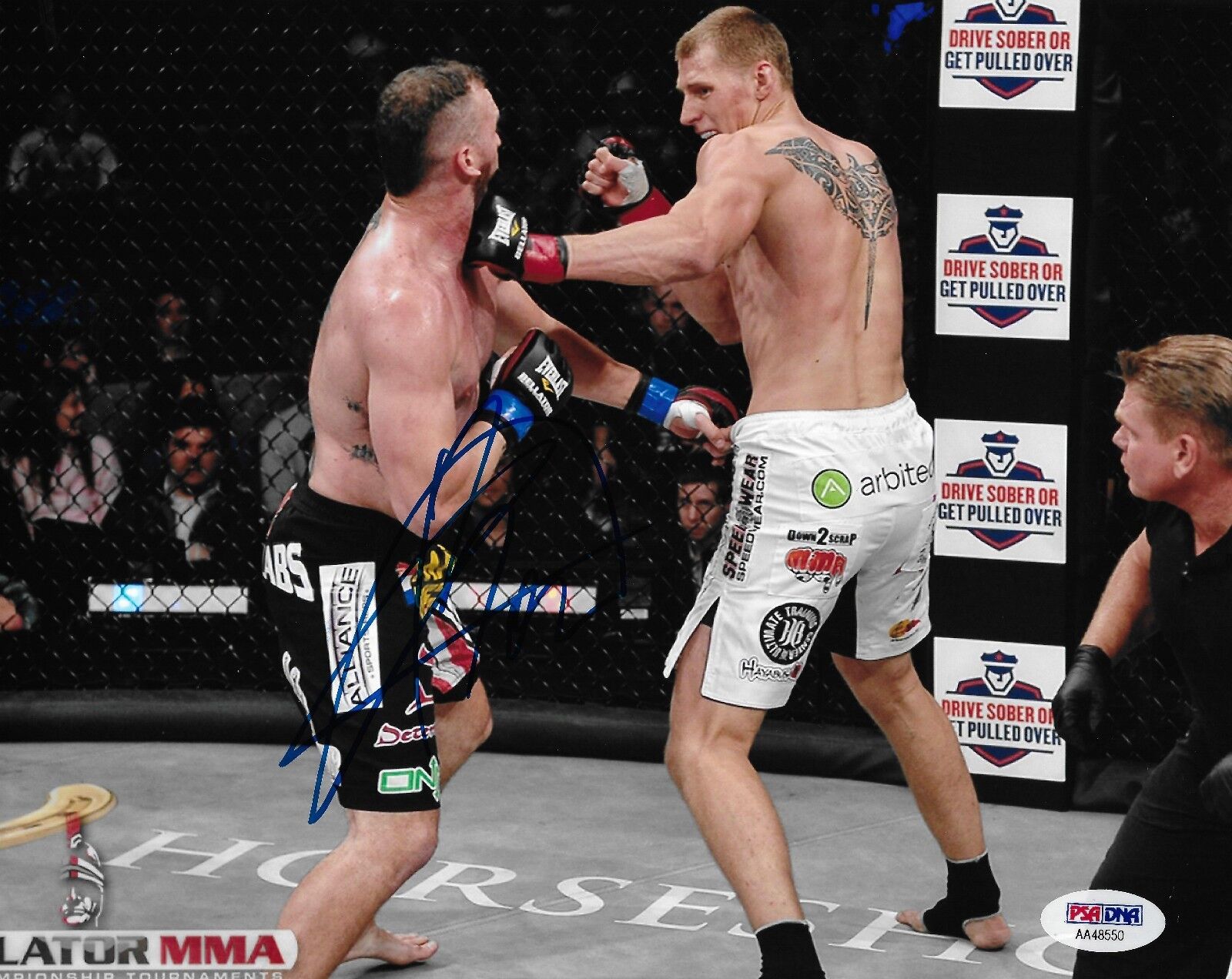 Alexander Volkov Signed Bellator MMA 8x10 Photo Poster painting PSA/DNA COA Picture Autograph 2