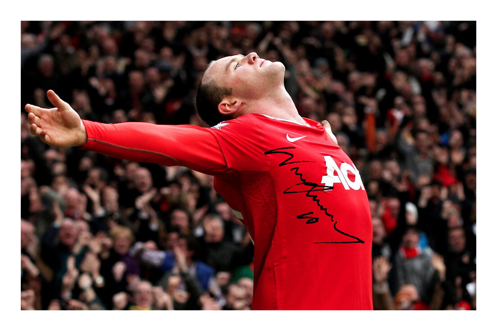 Wayne Rooney Signed A4 Photo Poster painting Print Autograph Manchester United