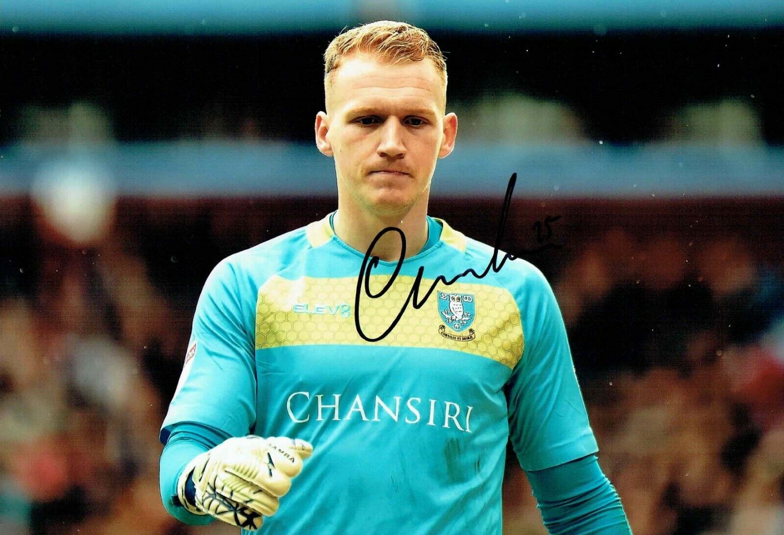 Cameron DAWSON Sheffield Wednesday SWFC SIGNED 12x8 2018/19 Photo Poster painting 5 AFTAL COA