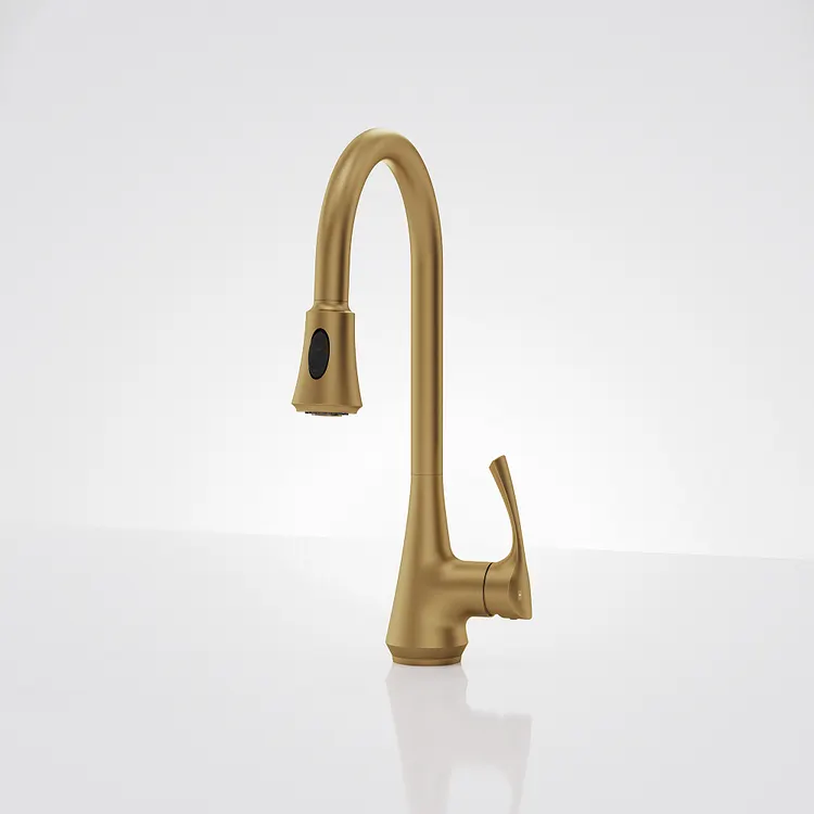 EVERSTEIN 2-Function Sprayer Pull-Down Kitchen Faucet Brushed Gold 