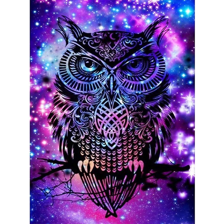 30*40cm Magical Owl  Diamond Painting  Beadwork