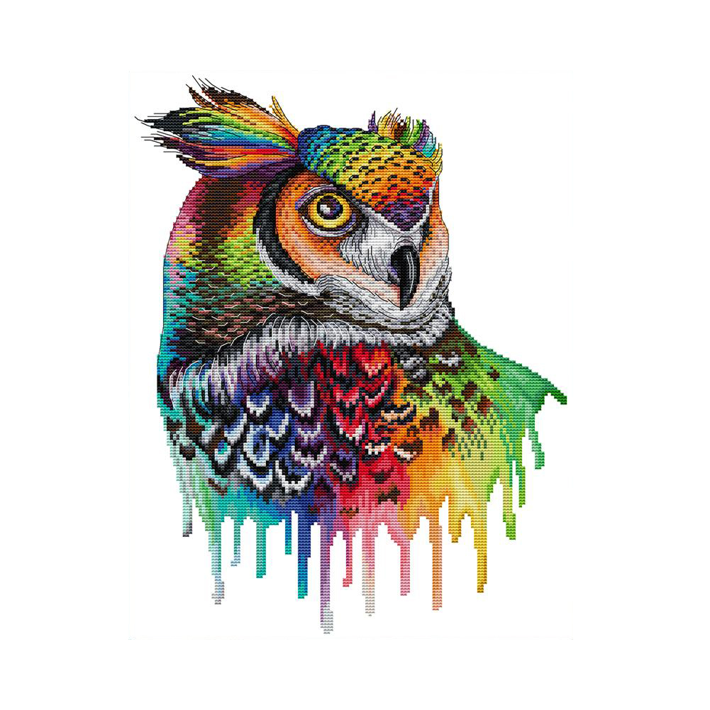 

Rainbow Owl - 14CT Counted Cross Stitch - 32*43CM, 501 Original