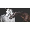Two Horses-Full Round Diamond Painting(50*100cm)