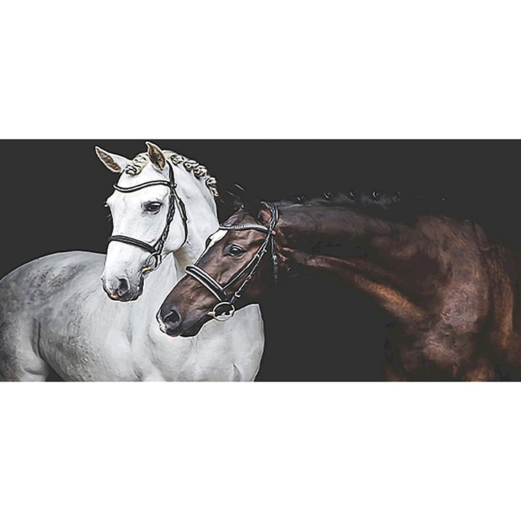 Two Horses  Full Round Diamond Painting 100*50CM
