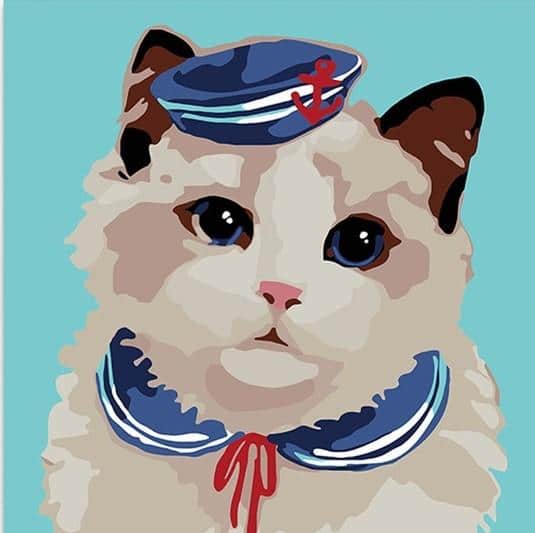 

Shipmaster Cat – Paint By Numbers - 40*50CM, 501 Original
