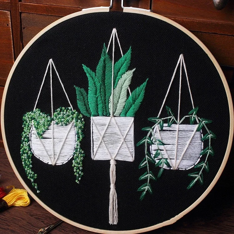 Hanging plants embroidery starter kit for beginners