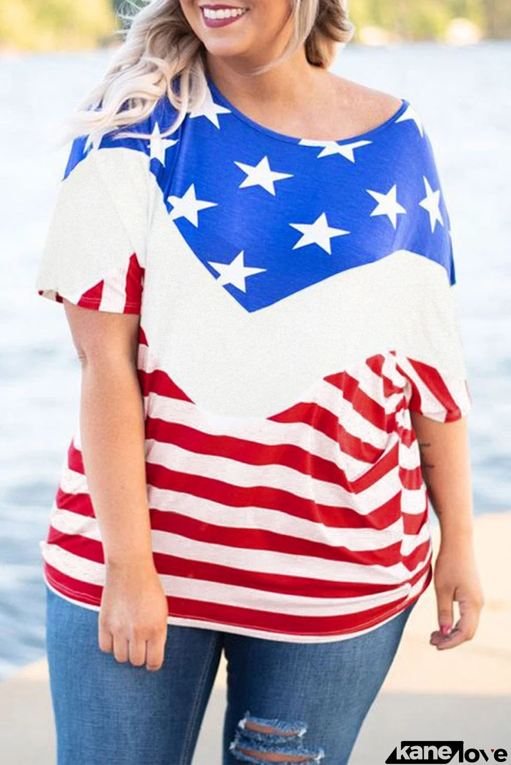 Plus Size Flag Pattern Tee