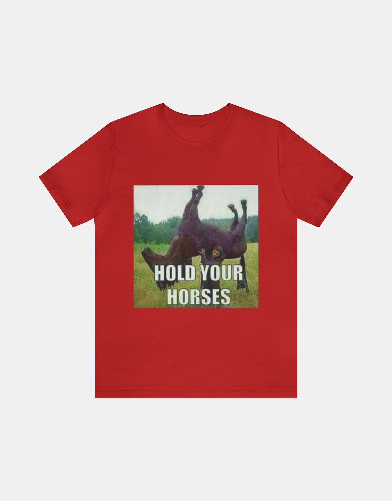 Hold Your Horses Meme Shirt- Funny Shirts, Parody Tees, Offensive Tees, Meme Shirt / TECHWEAR CLUB / Techwear
