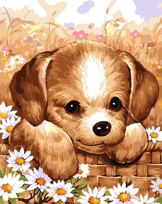 

Cute Puppy – Paint By Numbers - 40*50CM, 501 Original