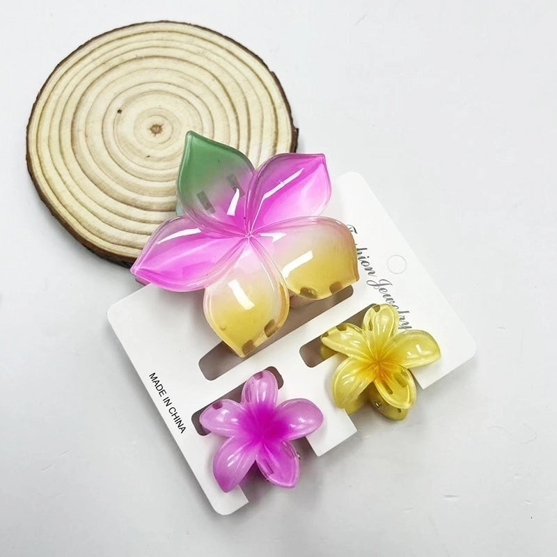 Vacation Modern Style Women’s Flower Resin Hair Claws