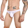 Transparent Ice Silk Slim Thong Men's Bikini Briefs