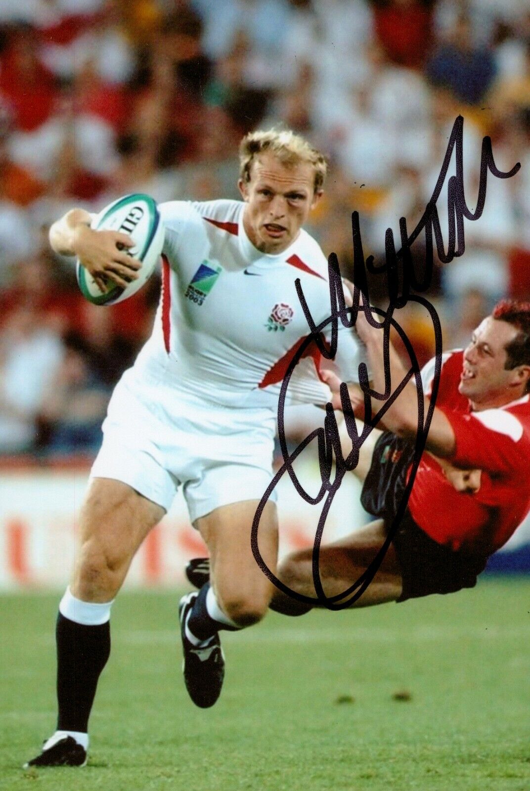 Matt Dawson Signed 6x4 Photo Poster painting England British Lions Rugby Genuine Autograph + COA