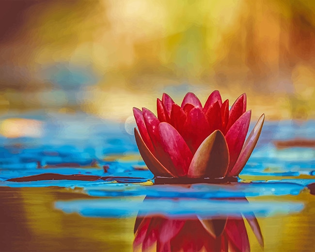 Lotus In The Water – Paint By Numbers - 40*50CM, 501 Original