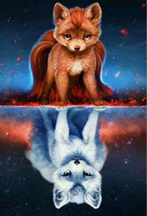 

The Fox and The Wolf – Paint By Numbers - 40*50CM, 501 Original