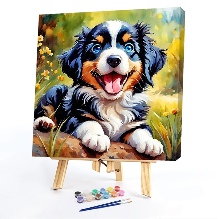 Oil Paint By Numbers - Border Collie - 40*40CM