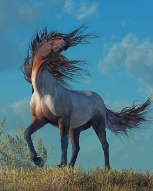 

Grey Horse – Paint By Numbers - 40*50CM, 501 Original