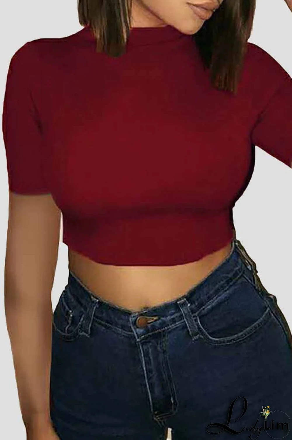 Burgundy Fashion Casual Solid Basic O Neck T-Shirts