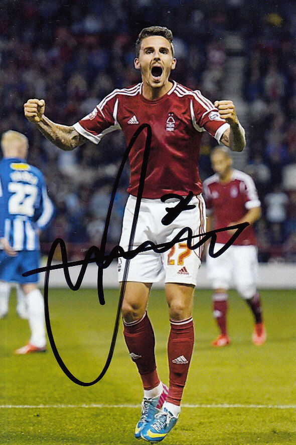 NOTTINGHAM FOREST HAND SIGNED MATT DERBYSHIRE 6X4 Photo Poster painting.