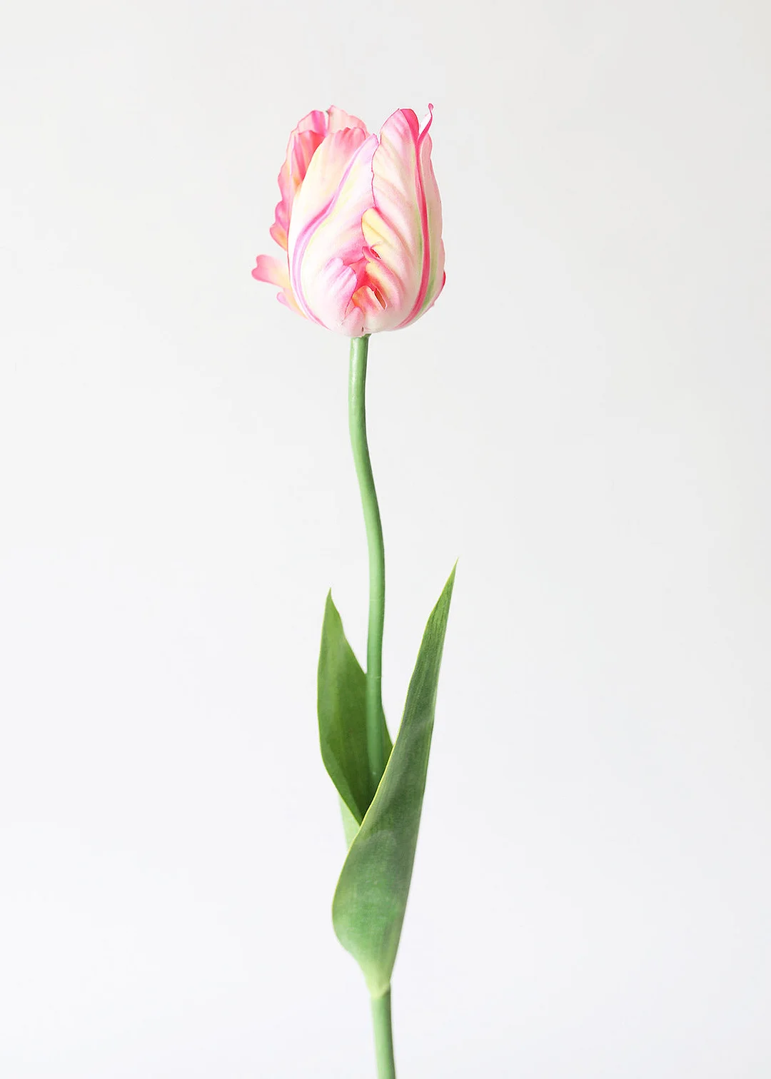 Tie Dye Pink Artificial Parrot Tulip - 25"