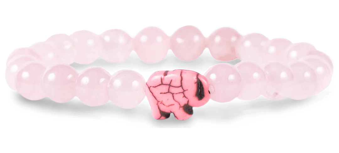 The Expedition Bracelet