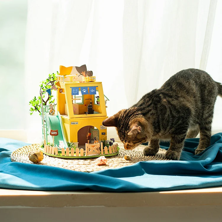 Rolife Cat House DIY Miniature House Kit DG149 | Robotime Online