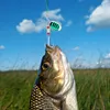 30pcs Metal Spoon Spinner Fishing Lure Artificial Bait for Bass Trout Perch Pike